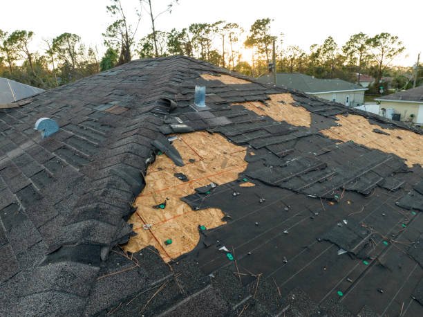 Best Roof Coating Services  in Amityville, NY